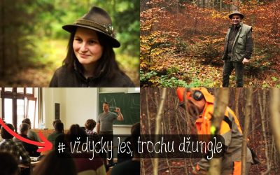 Video – les trvale tvořivý