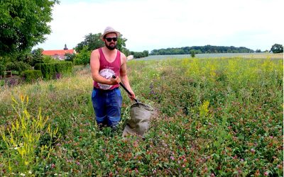 Proběhl metodologický výzkum sběru opylovačů v zemědělské krajině
